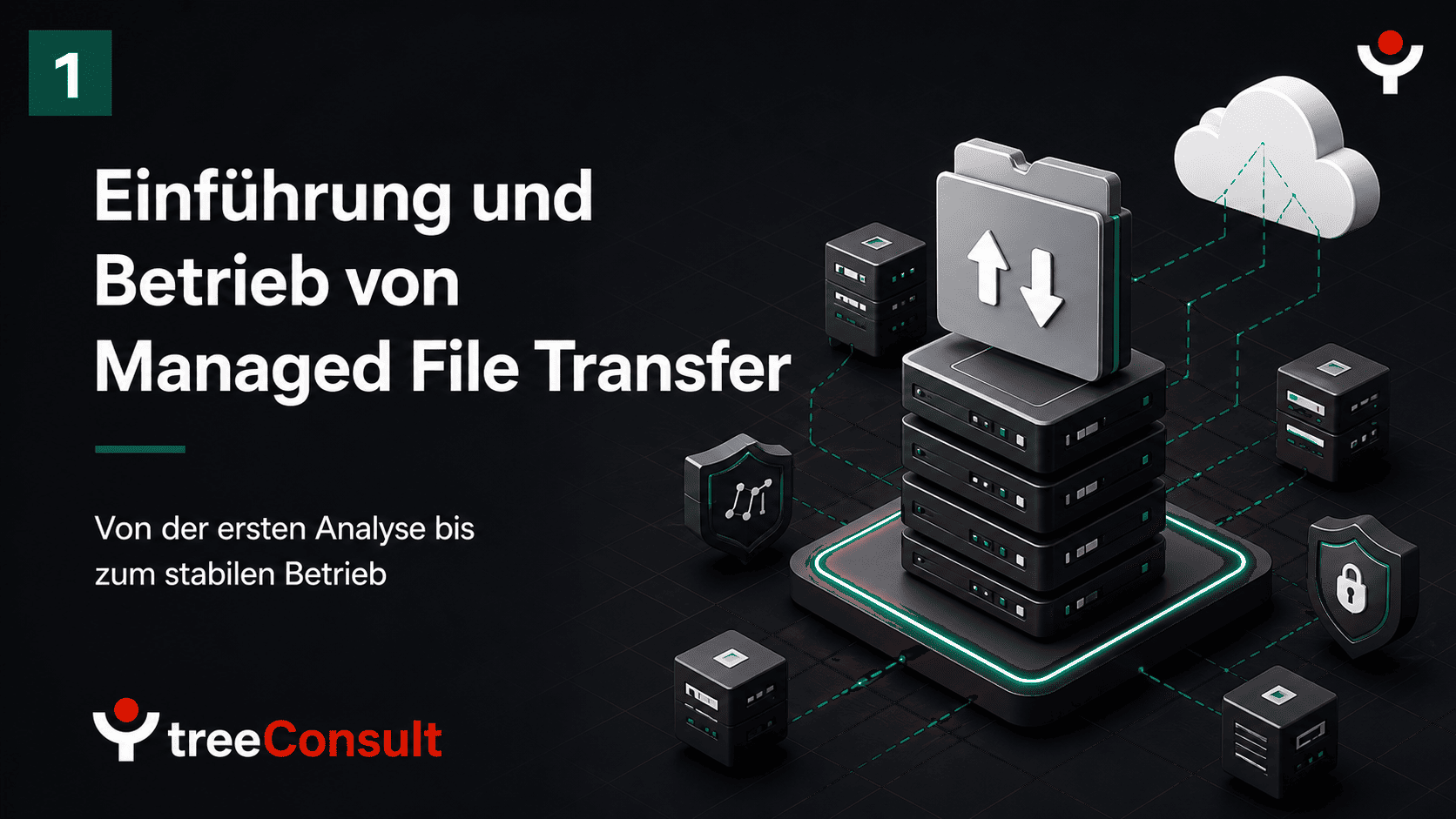 Treeconsult Mft 1