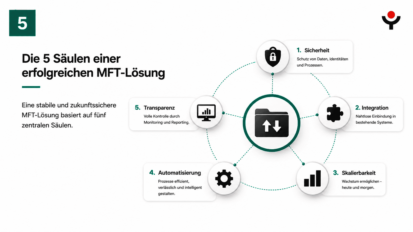 Treeconsult Mft 5