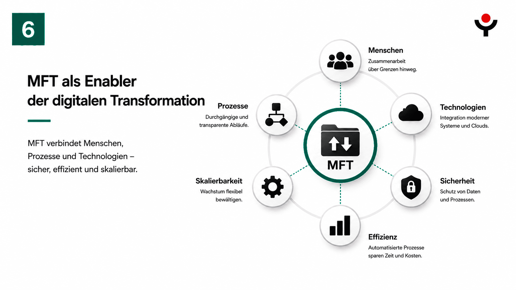 Treeconsult Mft 6